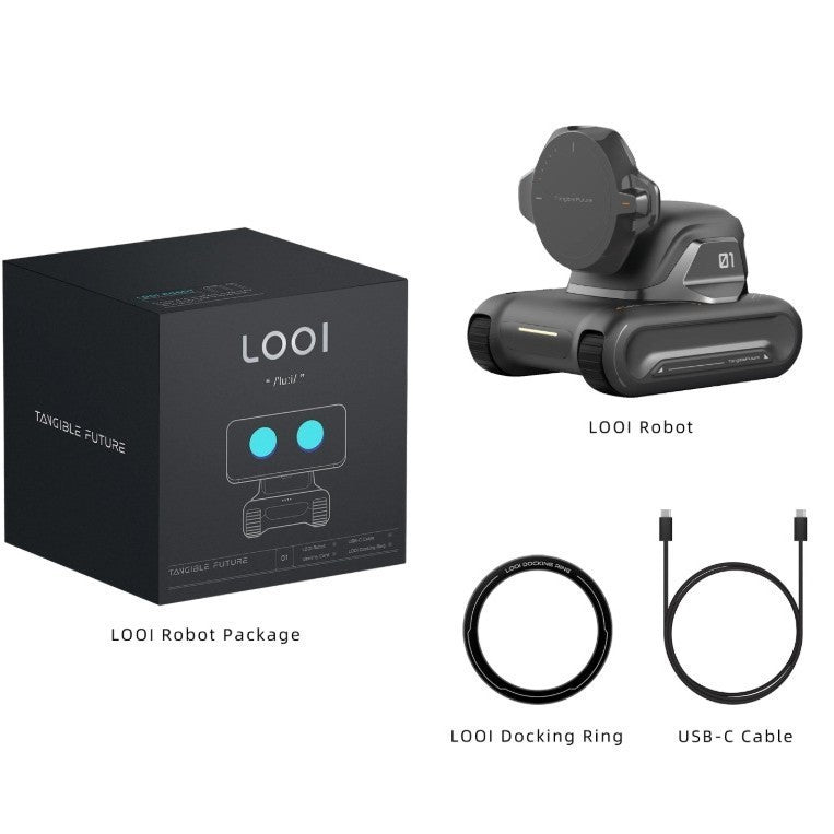 Intelligent Robot AI Assistant with Face Recognition and Gesture Control for Interactive Voice Conversations